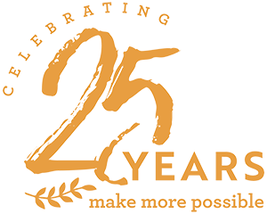 25 Years Logo